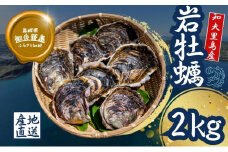 【知夫里島産 岩牡蠣 2kg】ブランド 隠岐 岩牡蠣 生食可 牡蛎 牡蠣 かき カキ 岩牡蠣 いわがき 海鮮 海産物 海の幸 シーフード 魚貝類 父の日 母の日 バーベキュー ギフト 濃厚 クリーミー