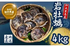 【知夫里島産 岩牡蠣 4kg】ブランド 隠岐 岩牡蠣 生食可 牡蛎 牡蠣 かき カキ 岩牡蠣 いわがき 海鮮 海産物 海の幸 シーフード 魚貝類 父の日 母の日 バーベキュー ギフト 濃厚 クリーミー