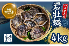 【知夫里島産 岩牡蠣 4kg】ブランド 隠岐 岩牡蠣 生食可 牡蛎 牡蠣 かき カキ 岩牡蠣 いわがき 海鮮 海産物 海の幸 シーフード 魚貝類 父の日 母の日 バーベキュー ギフト 濃厚 クリーミー