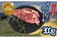 【TBS 「熱狂マニアさん！」で紹介】 経産牛サーロインステーキ300g 国産 牛肉 赤身 放牧 黒毛和牛 サーロイン ステーキ おうち時間