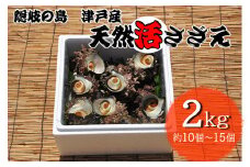 1401　隠岐の島津戸産天然活さざえ2㎏