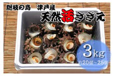 1402　隠岐の島津戸産天然活さざえ3㎏