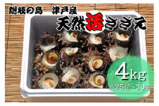 1403　隠岐の島津戸産天然活さざえ4㎏