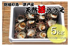 1404　隠岐の島津戸産天然活さざえ5㎏