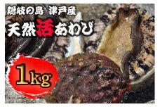 1407　天然活あわび【隠岐の島津戸産】　1㎏