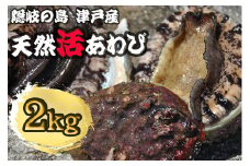 1408　天然活あわび【隠岐の島津戸産】　2㎏
