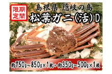 0919　隠岐松葉ガニ(活)D