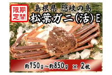 0917　隠岐松葉ガニ(活)E