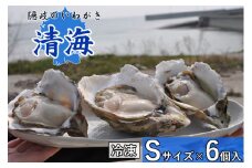 0508　隠岐のいわがき「清海」【冷凍】S　6個セット