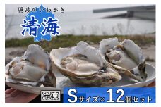 0510　隠岐のいわがき「清海」【冷凍】S　12個セット