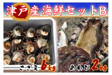 1411　隠岐津戸産　海鮮セットB