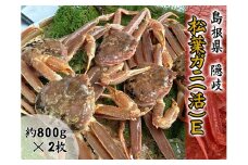 2705　【木村鮮魚店提供】　隠岐松葉ガニ(活)E