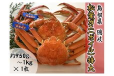 2704　【木村鮮魚店提供】　隠岐松葉ガニ特番サイズ（ボイル）　１枚