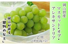 マスカット・オブ・アレキサンドリア 2房 【数量限定500セット】【マスカット 葡萄 ブドウ 果物 フルーツ 限定 岡山県 おすすめ 人気 新鮮】