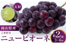 ニューピオーネ 2kg 3～6房（ご家庭用）【限定数800セット】岡山 ピオーネ 大粒 ぶどう 葡萄 果物 フルーツ 甘い おいしい 人気 おすすめ 岡山県