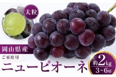 ニューピオーネ 2kg 3～6房（ご家庭用）【限定数800セット】岡山 ピオーネ 大粒 ぶどう 葡萄 果物 フルーツ 甘い おいしい 人気 おすすめ 岡山県