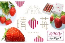 苺（はれいちご）約950g（450g×2）【数量限定50セット】【岡山県産 苺 晴れ いちご フルーツ 果物 くだもの 新鮮 おすすめ 人気】