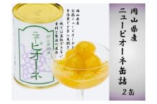 岡山県産 ニューピオーネ 缶詰 ２缶【 フルーツ 果物 フルーツ缶 葡萄 ぶどう おすすめ 岡山県 】