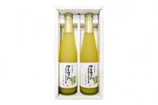 マスカットジュース 2本 セット（500ml×2本）【岡山県産マスカット・オブ・アレキドリア 果汁１００％】【 マスカット ジュース 瓶 ストレートジュース 逸品 岡山県 】