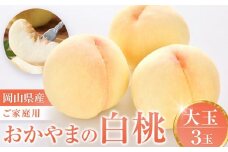 おかやまの白桃　大玉３玉 約900g（ご家庭用）【数量限定３００セット】岡山 もも 桃 白桃 900g 果物 フルーツ 甘い おいしい 人気 おすすめ 岡山県
