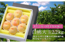 白桃大玉（晩生種）2.2kg【数量限定500セット】【白桃 桃 フルーツ 果物 数量限定 岡山県 おすすめ 人気 新鮮】