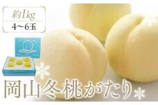 岡山冬桃がたり 約1.0kg (4～6玉)【桃 もも 果物 フルーツ くだもの 高級 ギフト 贈答用 1kg 岡山県産 岡山県 おすすめ 人気】