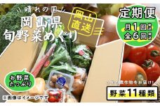 【定期便】晴れの国おかやま　旬野菜めぐり11種 〈月1回・全6回〉【定期便 野菜 ほうれん草 小松菜 水菜 春菊 青ネギ 白ネギ 白菜 大根 人参 ごぼう 玉ねぎ 蓮根 おまかせ 岡山県 おすすめ 人気】