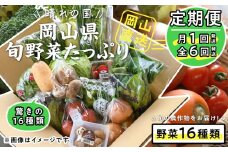 【定期便】晴れの国おかやま　旬野菜たっぷり16種〈月1回・全6回〉【定期便 野菜 ほうれん草 小松菜 水菜 春菊 青ネギ 白ネギ 白菜 大根 人参 ごぼう 玉ねぎ 蓮根 おまかせ 岡山県 おすすめ 人気】