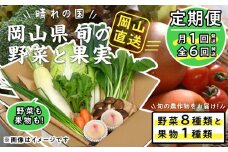 【定期便】晴れの国おかやま　旬の野菜8種と果物1種〈月1回・全6回〉【定期便 野菜 果物 フルーツ 岡山県 おすすめ 人気】