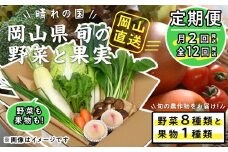 【定期便】晴れの国おかやま　旬の野菜8種と果物1種〈月2回・全12回〉【定期便 野菜 果物 フルーツ 岡山県 おすすめ 人気】