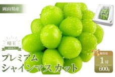 ぶどう 2025年 プレミアム シャイン マスカット 晴王 １房 約600g 【赤秀品 岡山県産 船穂産 種無し 皮ごと食べる 9月以降にお届け フレッシュ 贈答用 ハレノフルーツ】