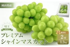 ぶどう 2025年 プレミアム シャイン マスカット 晴王 2房 約1.3kg 【赤秀品 岡山県産 船穂産 種無し 皮ごと食べる 旬の美味しさ 9月以降にお届け フレッシュ 贈答用 ハレノフルーツ】