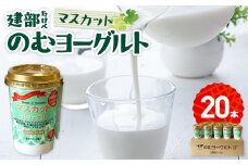 建部のむヨーグルト（マスカット）20本