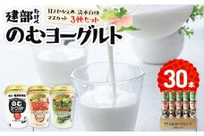 建部のむヨーグルト　3種セット　30本