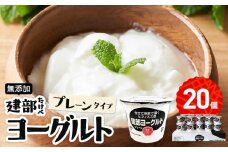 無添加　建部ヨーグルト（プレーンタイプ）20個