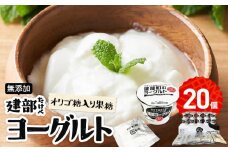 無添加　建部ヨーグルト（オリゴ糖入り果糖）20個