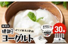 無添加 建部ヨーグルト（オリゴ糖入り果糖）30個