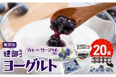 無添加　建部ヨーグルト（ブルーベリージャム付き）20個