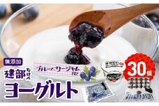 無添加　建部ヨーグルト（ブルーベリージャム付き）30個