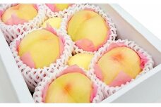 岡山の桃　白桃5～6玉（約1kg）