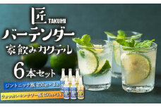 匠バーテンダー 家飲み カクテル ジントニック＆レモンサワー 6本セット