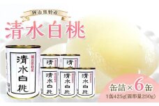 角南製造所 清水白桃缶詰 6缶セット