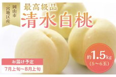 桃 2025年 先行予約 清水 白桃 5～6玉入 約1.5kg 岡山市一宮地区産 もも モモ フルーツ 果物 ギフト