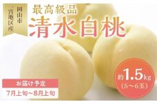 桃 2026年 清水 白桃 5～6玉入 約1.5kg 岡山市一宮地区産 もも モモ フルーツ 果物 ギフト