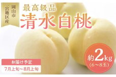 桃 2025年 先行予約 清水 白桃 6～8玉入 約2.0kg 岡山市一宮地区産 もも モモ フルーツ 果物 ギフト