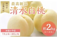 桃 2026年 清水 白桃 6～8玉入 約2.0kg 岡山市一宮地区産 もも モモ フルーツ 果物 ギフト