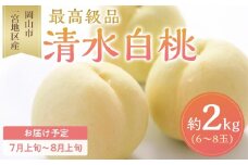 桃 2026年 清水 白桃 6～8玉入 約2.0kg 岡山市一宮地区産 もも モモ フルーツ 果物 ギフト