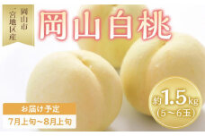 桃 2025年 先行予約 岡山 白桃 5～6玉入 約1.5kg 岡山市一宮地区産 もも モモ フルーツ 果物 ギフト