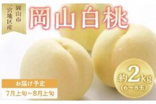 桃 2025年 先行予約 岡山 白桃 6～8玉入 約2.0kg 岡山市一宮地区産 もも モモ フルーツ 果物 ギフト