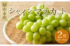 ぶどう 2025年 先行予約 シャイン マスカット 2房（1房約700g） マスカット ブドウ 葡萄  岡山市産  国産 フルーツ 果物 ギフト